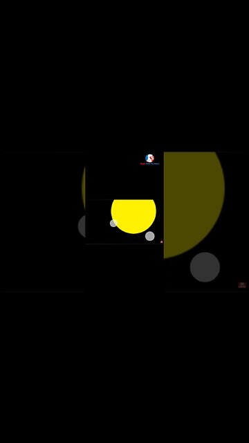 No 1 thing you need to know about BEAGLES