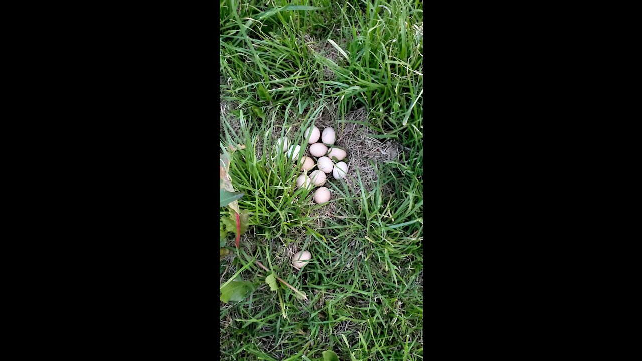 Easter Hunting beyond May