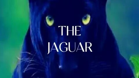 The Jaguar