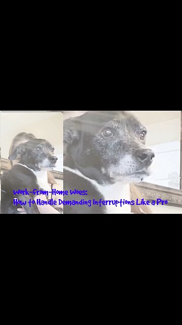 Work-from-Home Woes: How to Handle Demanding Interruptions Like a Pro