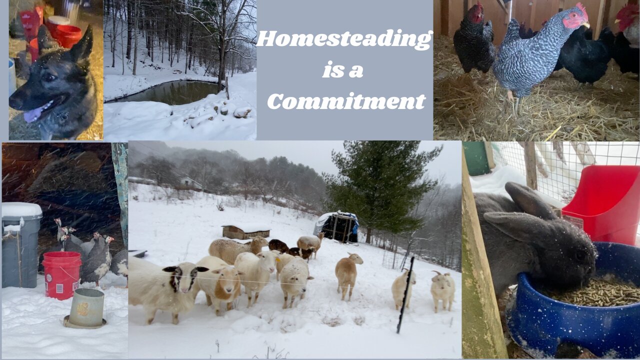 Homesteading is a Commitment