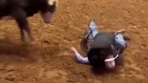 Father Jumps On Knocked Out Bull-Riding Son To Protect Him From The Raging Bull