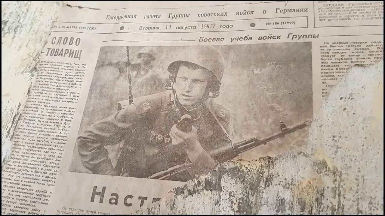 Солнышко в глазах Forst Zinna