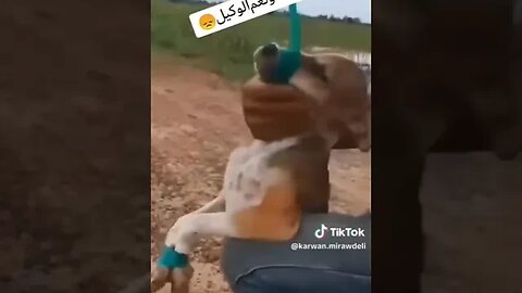 حسبنا الله ونعم الوكيل