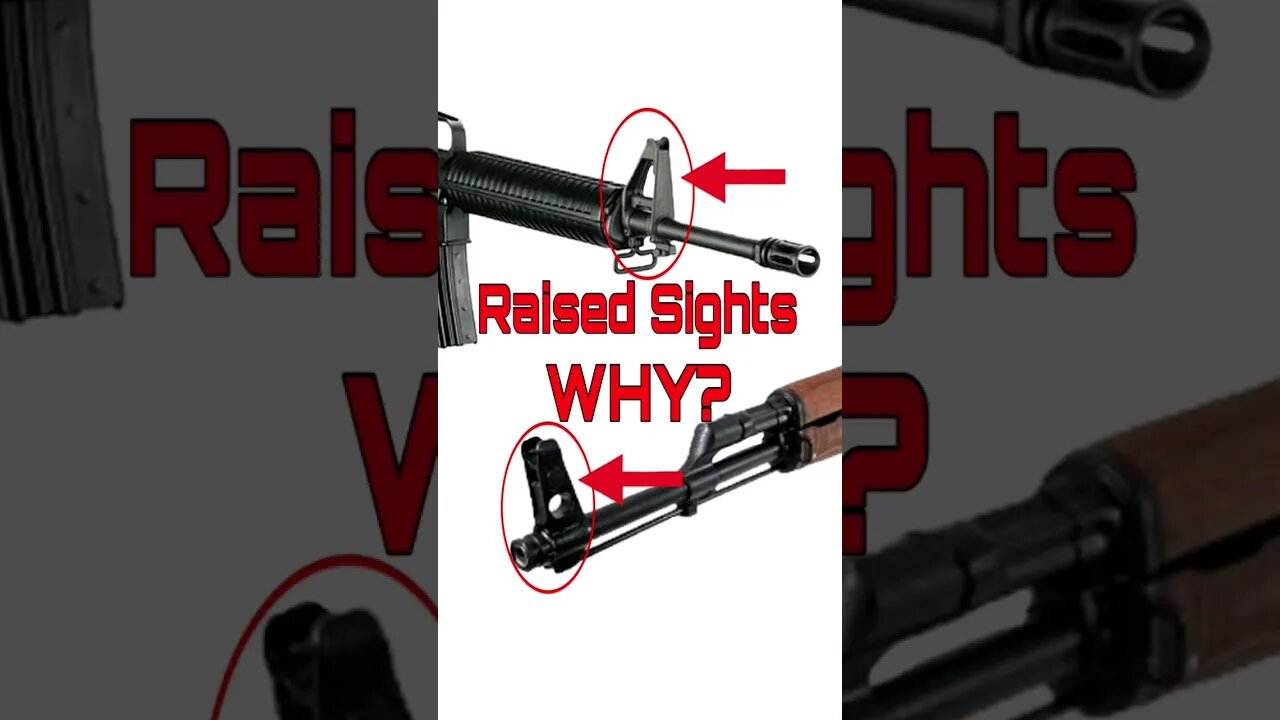 Raised sights on modern rifles. Why? #shorts #AR #akm