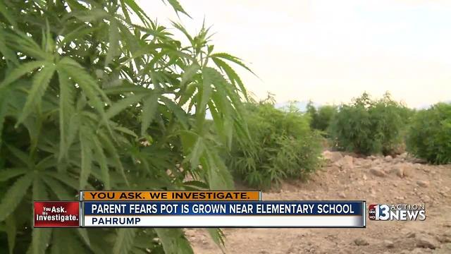 Parents worry about possible marijuana near school