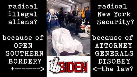 you decide - radical illegal aliens or radical New York security