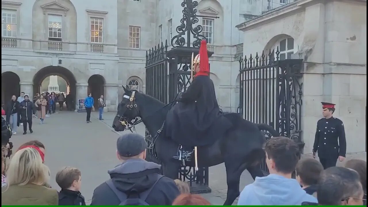 Kings guards horse in slow motion #horseguardsparade