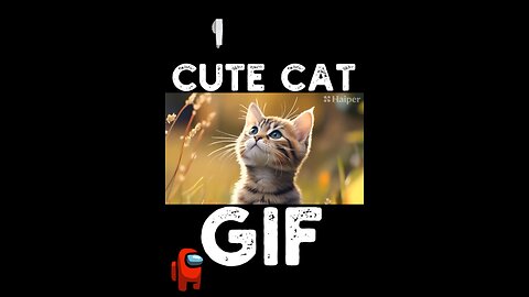 Cute Cat Gif