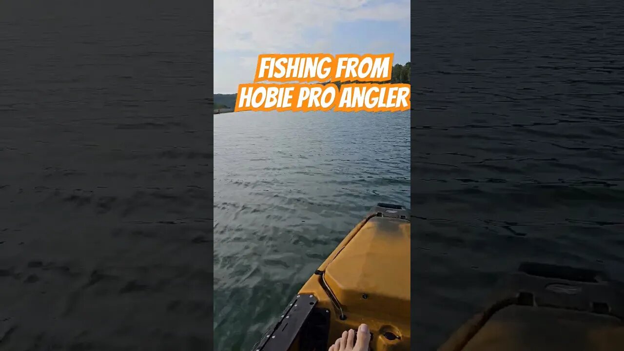 Hobie Pro Angler in action. #shorts #hobie #hobiefishing #kayakfishing #fishing #kayak #fishing