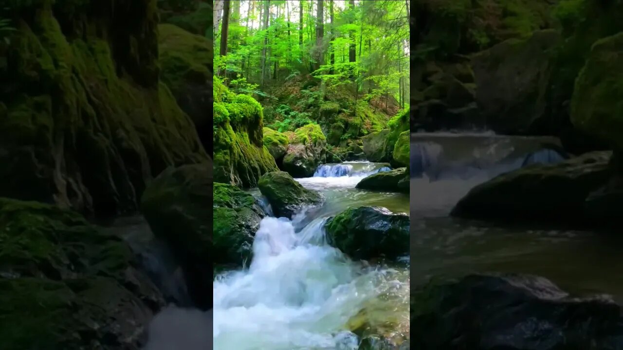 #wonderful #nature Jasper #Alberta #Canada