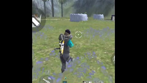 Free Fire Shorts