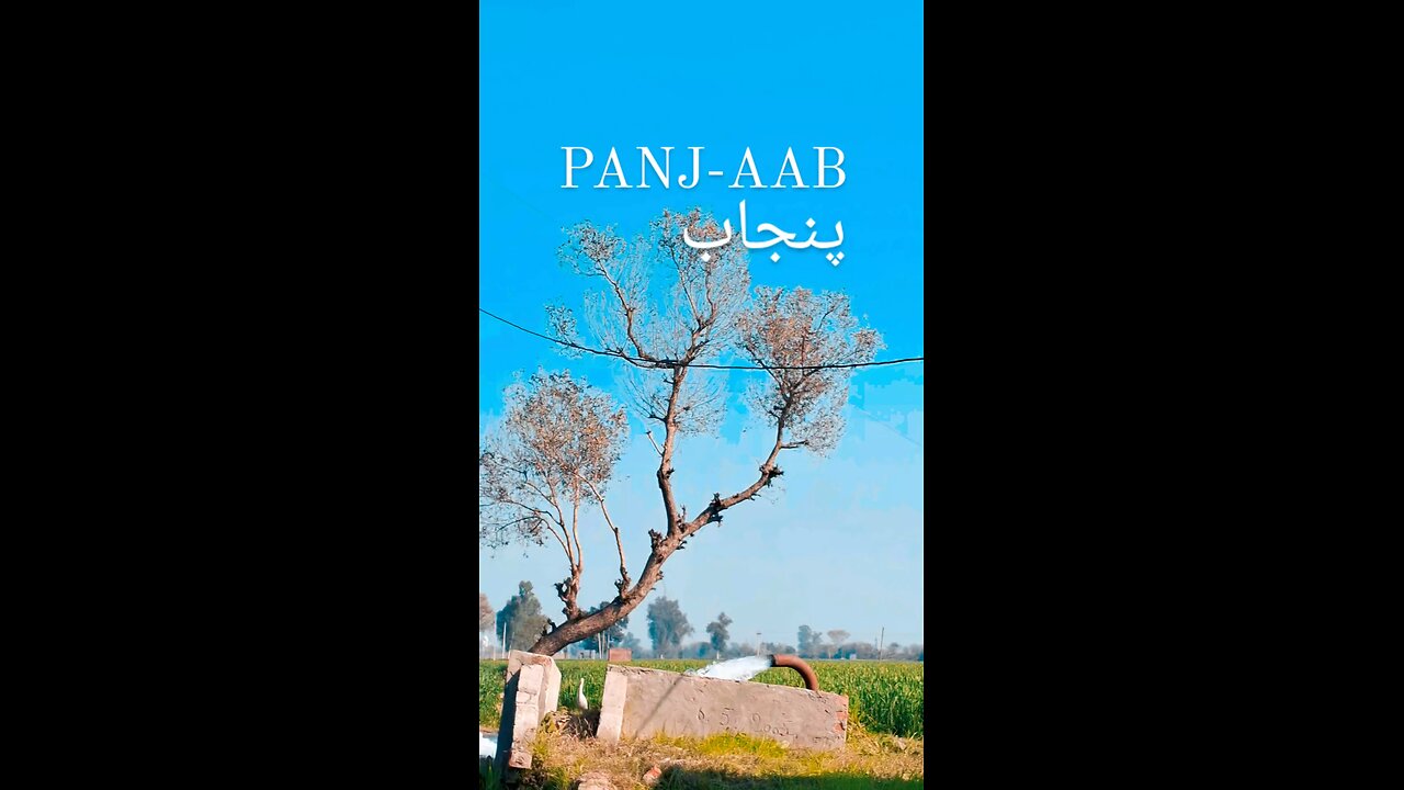 Panjaab