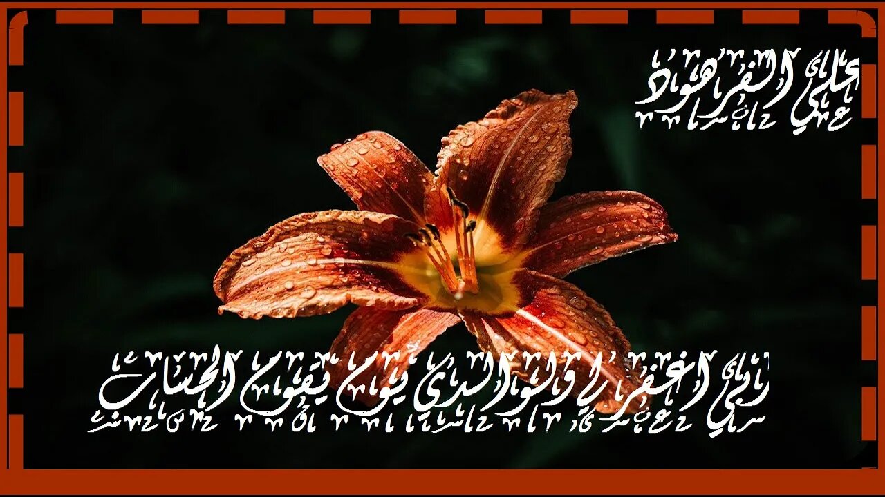 وجعل الظلمات والنور من اجمل تلاوات خاشعة@nsrm11