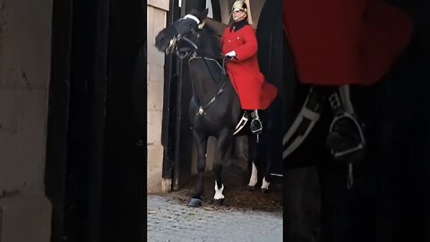 Horse slips and falls #horseguardsparade