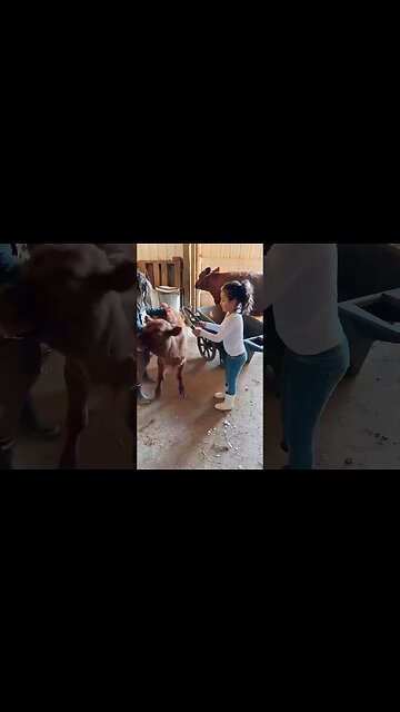 Elemental Family Milk Cows: The Next Gen (2)