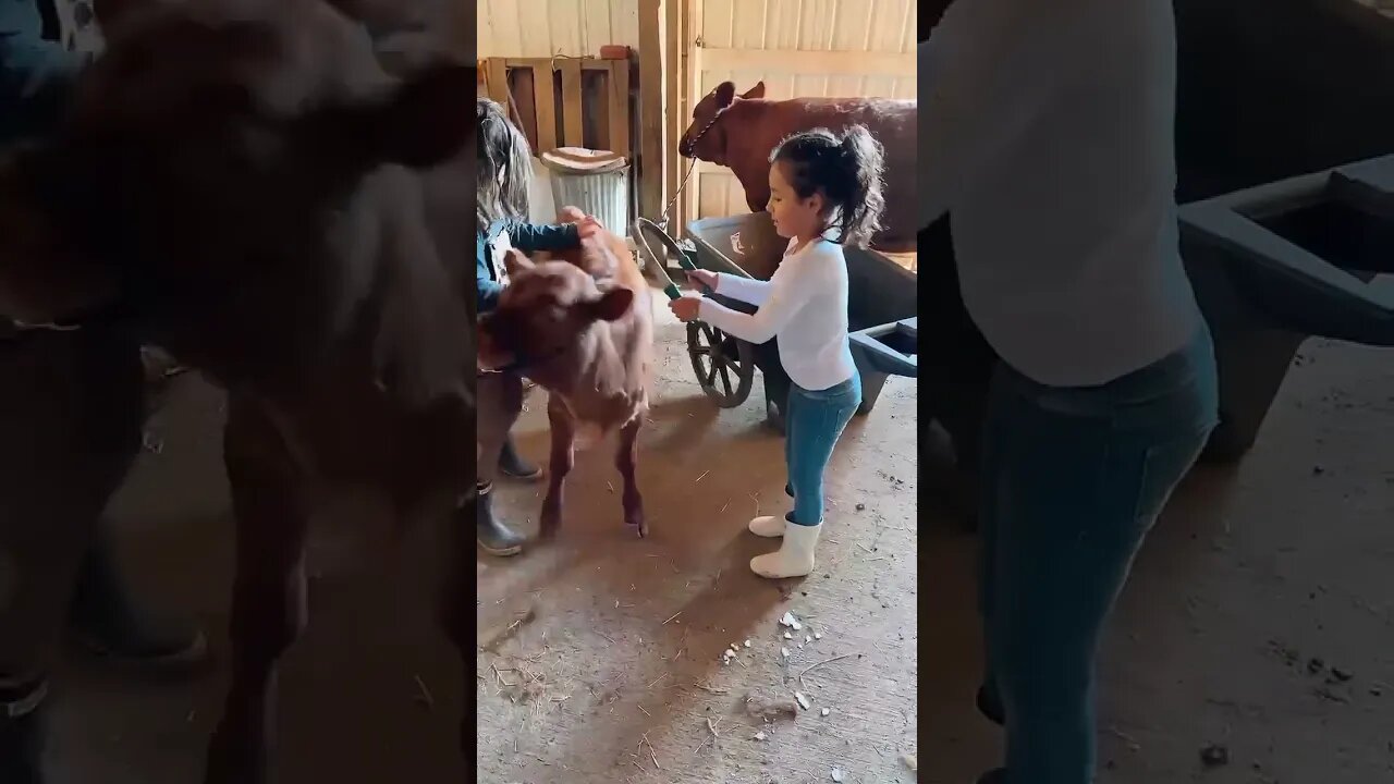 Elemental Family Milk Cows: The Next Gen (2)