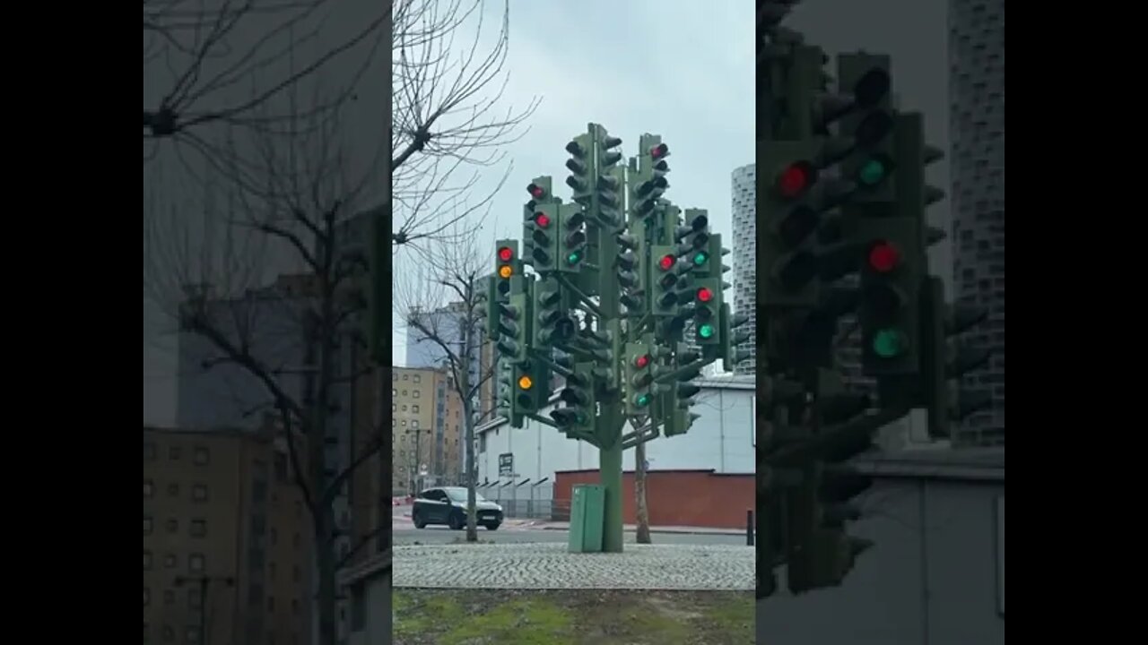 most Popular video(1)
