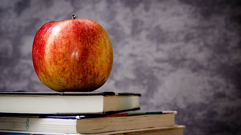 Lighthouse Elementary School does not give kindergarten kids a snack before lunch