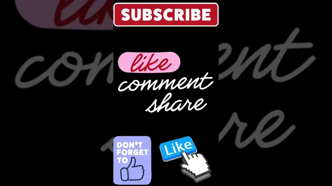 kitten rush to me side