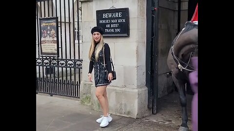 Pretty lady poses with the horse #horseguardsparade