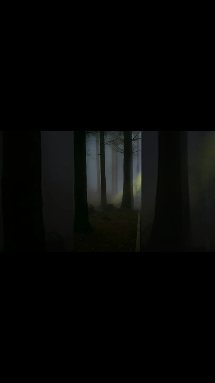 cerita bergambar horor kisah nyata Misteri kkn Desa penari 85 #shorts