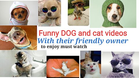 You will laugh😄 in this video 😄funny cat and dogs with their home ownets