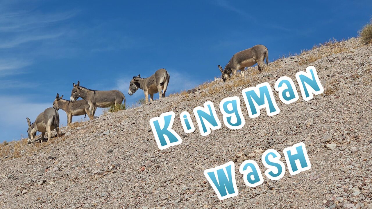 Kingman Wash, Arizona