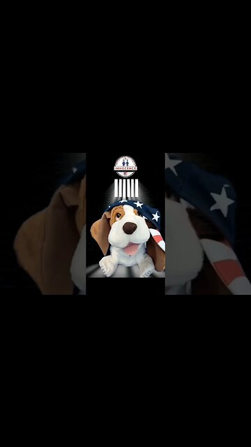 Dog's Hard Truth About Chomo's. #protectchildren #shorts #truth #15second #trending #dawg #puppets