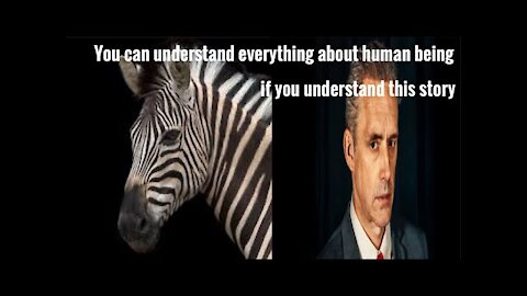 Jordan Peterson on Zebras (a short story)