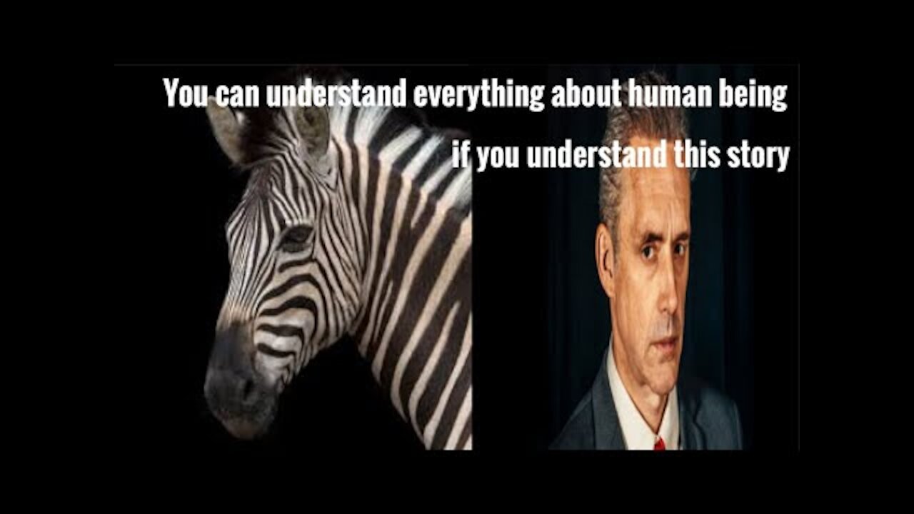 Jordan Peterson on Zebras (a short story)