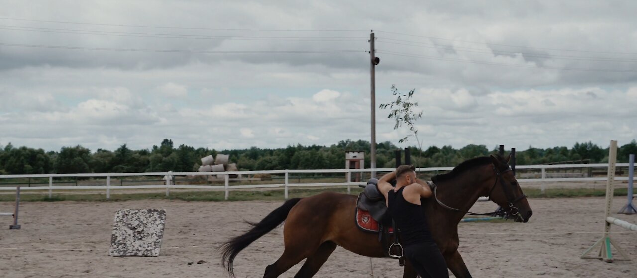 Professional Techniques Horse Riding Step by step(adorable horse)