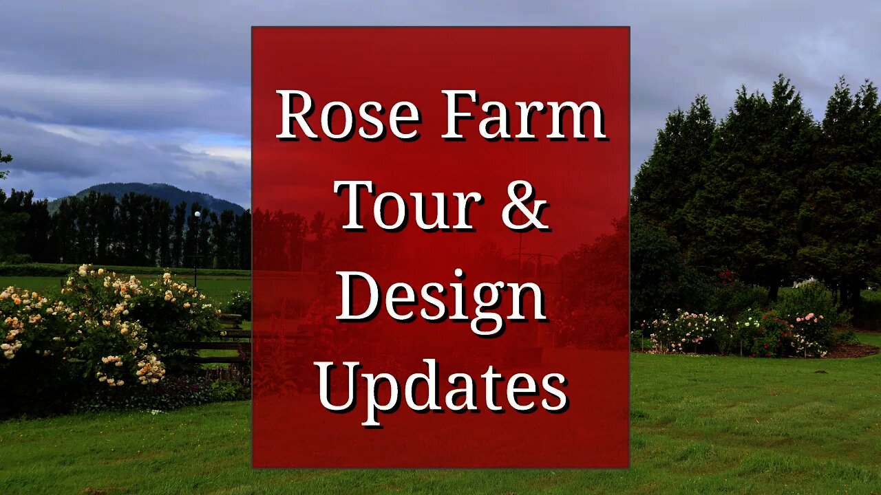 Rose Farm Tour & Design Updates (Fall Projects)