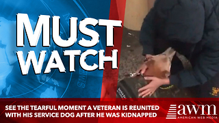 See The Tearful Moment A Veteran Is Reunited With His Service Dog After He Was Kidnapped