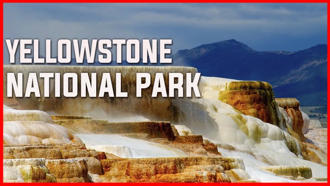 YELLOWSTONE NATIONAL PARK | GEYSER | CALDERA | SUPER VOLCANO| BISONS