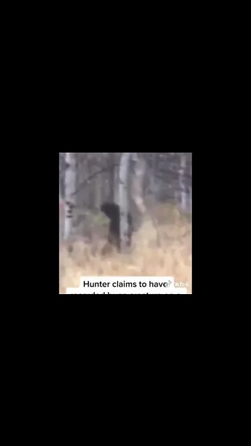 Hunter records Bigfoot while hunting- Nov. 2022