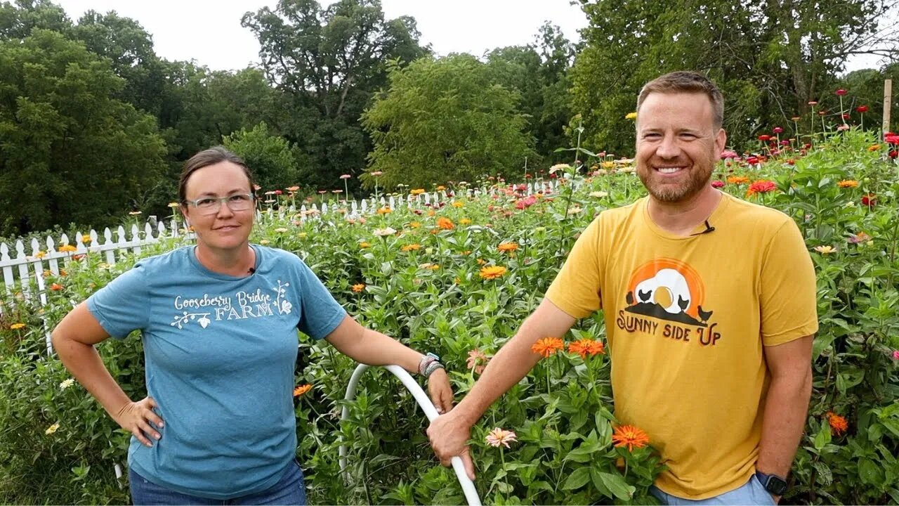 They Escaped the City & Make Money Homesteading