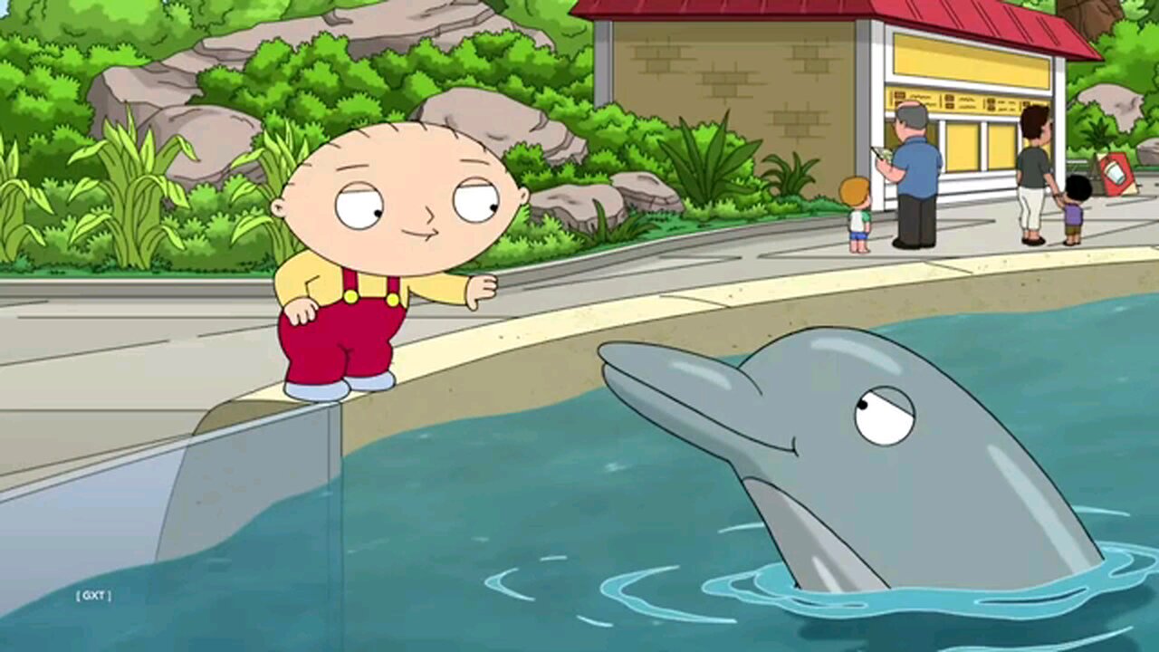 family guy