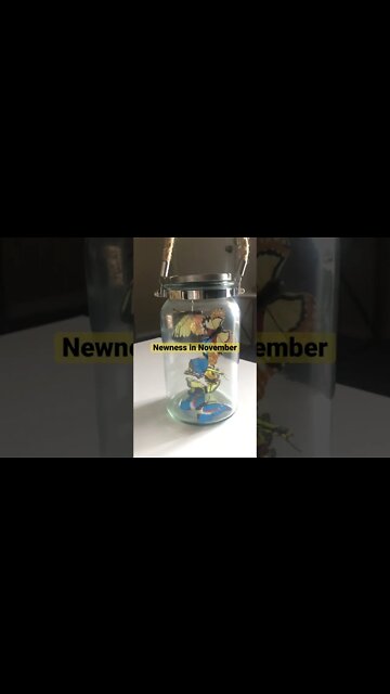 November brings Newness in the Lord!!