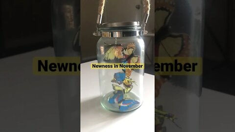 November brings Newness in the Lord!!