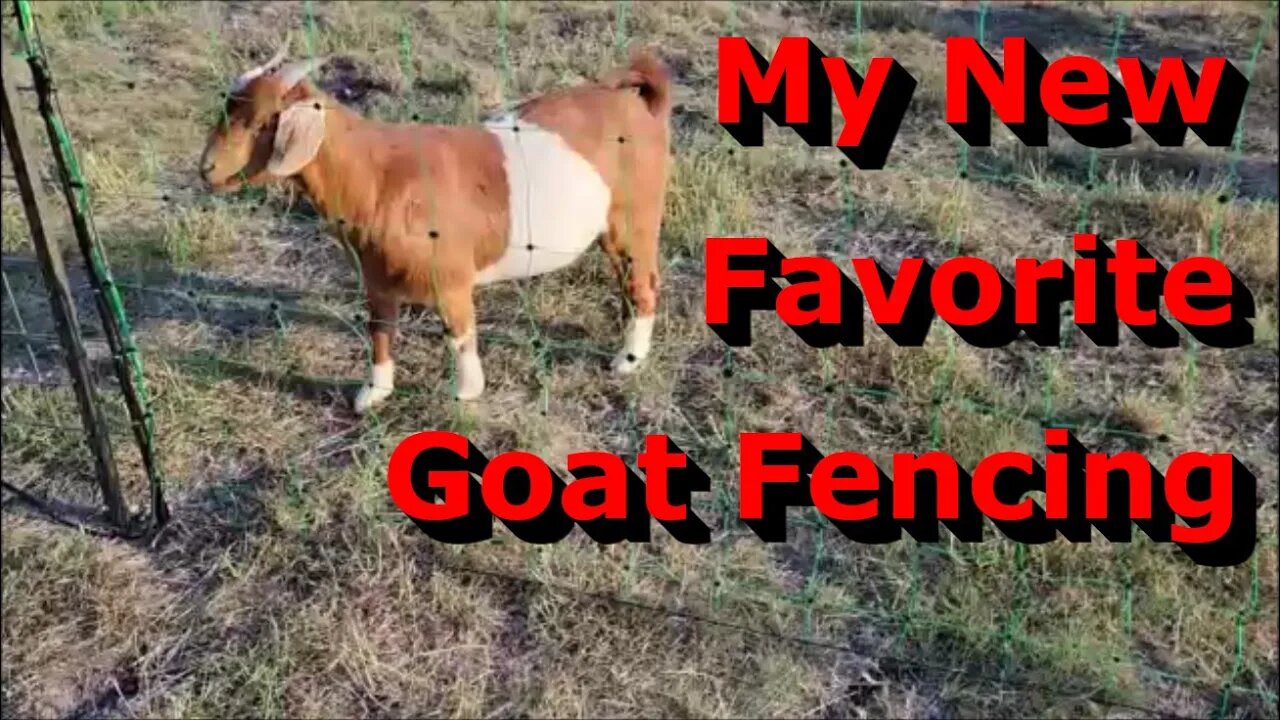 Check This Out! - Why I Love This Goat Fencing - Electric Fence Netting