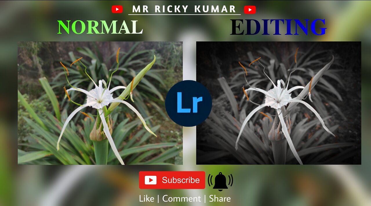 LIGHTROOM mobile DARK CYBER TONE photo editing tutorial : MR RICKY KUMAR