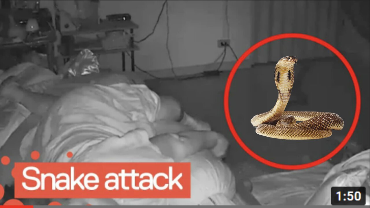 Snake Bites a Woman While Sleeping