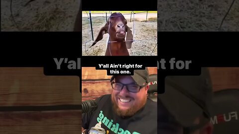 Here’s Your Dose of REALarious…🤣🤣🤣 #duet #comedyfilms #makeyoulaugh #funny #loveduet #comedy