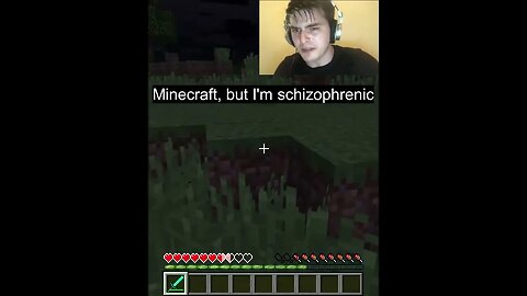 Minecraft, But I'm Schizophrenic