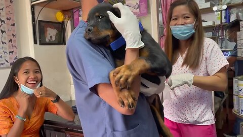 A Vet Visit in the Philippines