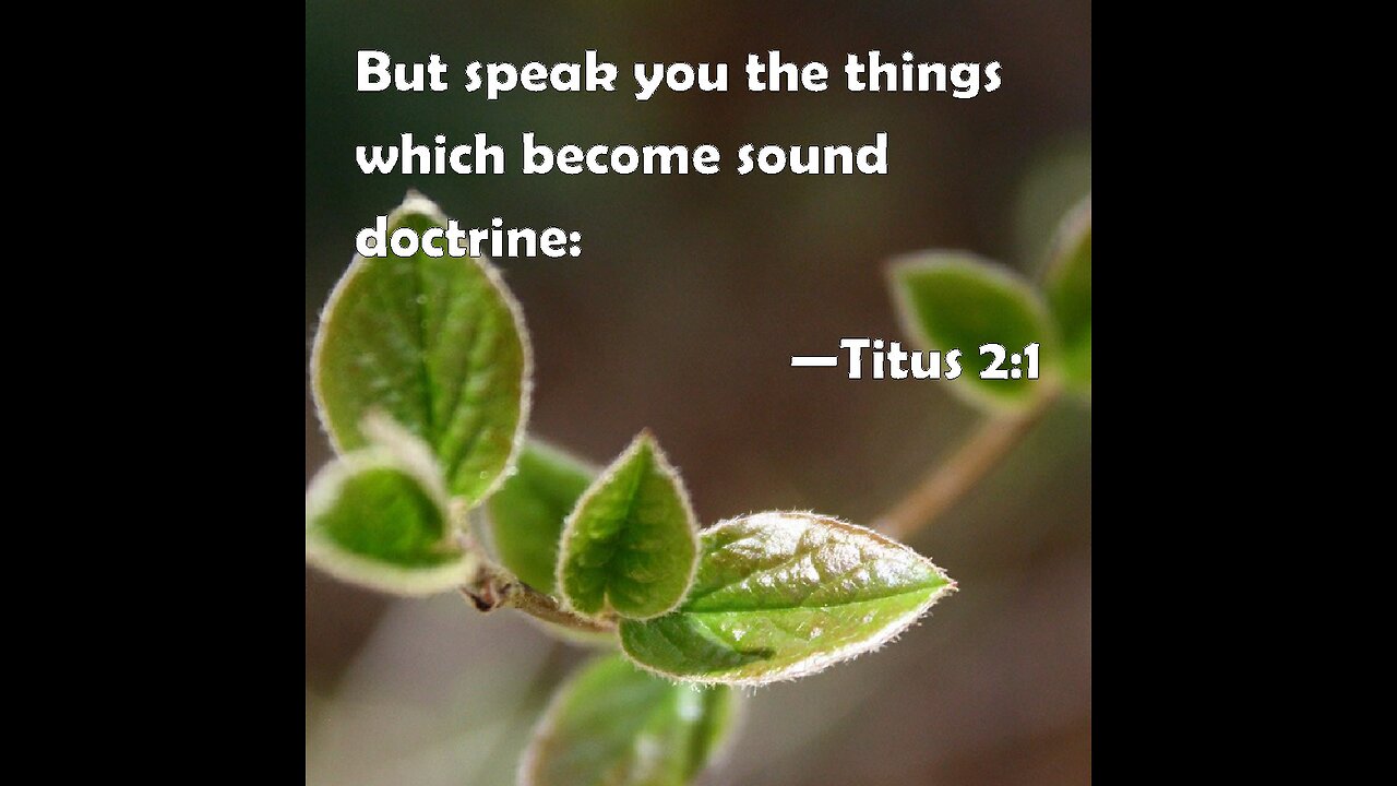 Be the Light to Others Titus 2
