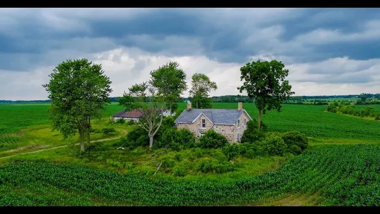 Abandoned Farm House In The Middle of a Cornfield