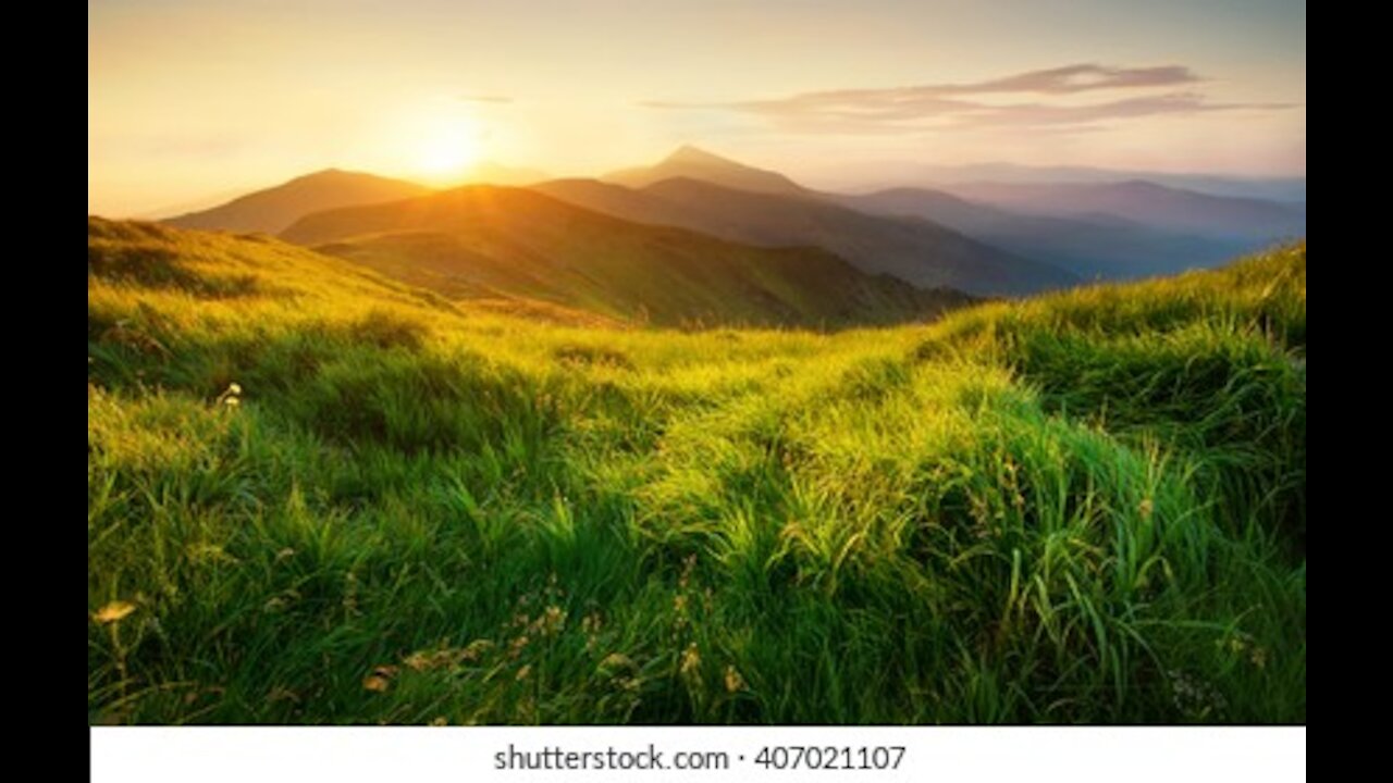 Natural forest, nature