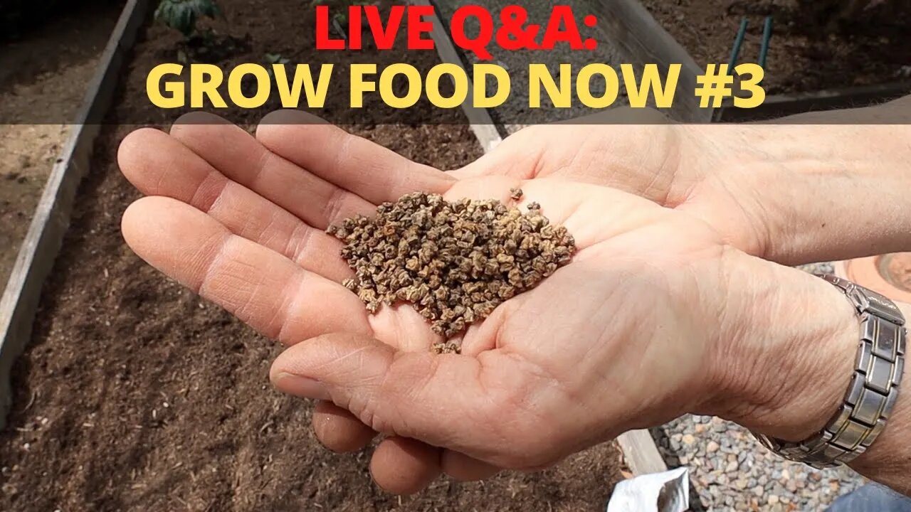 🔴LIVE Q&A Grow Food NOW #3